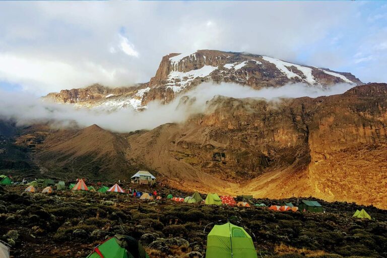 7-Days-Rongai-Route-climb 7 Days Rongai Route climb