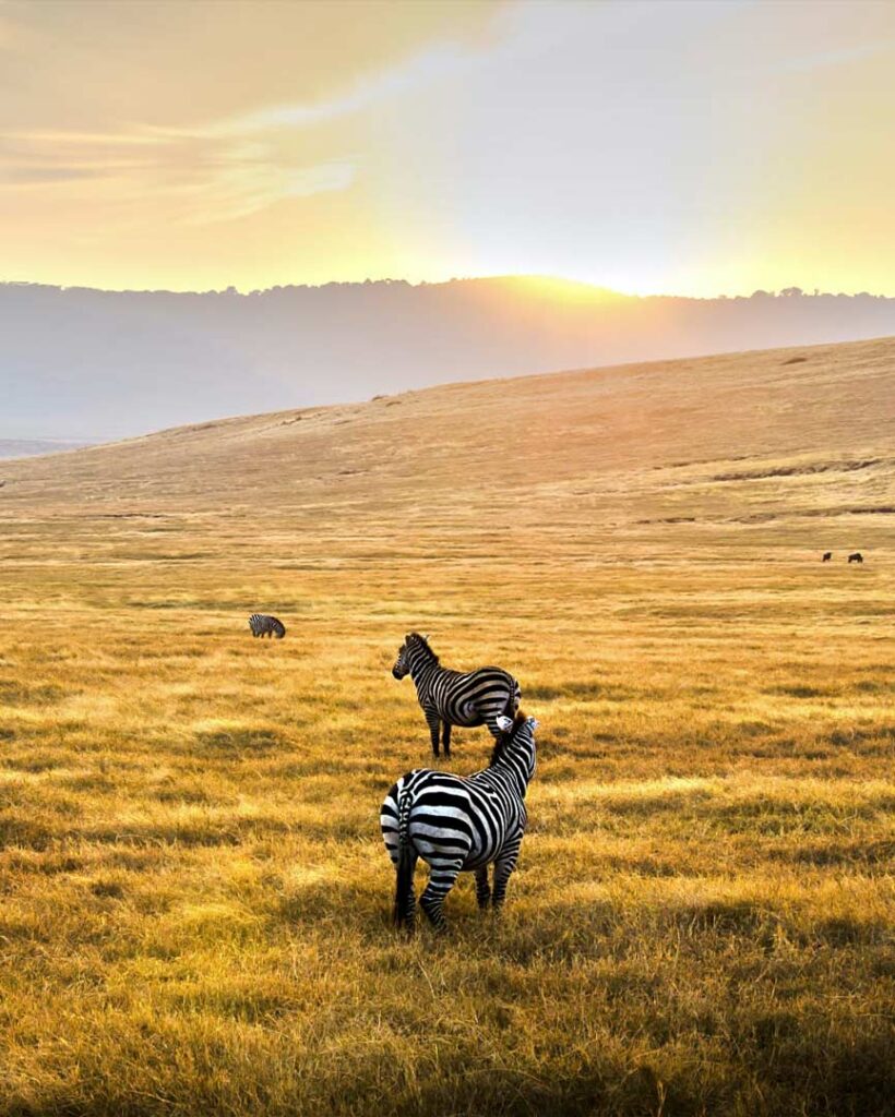 Serengeti National Park