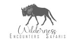 Wilderness Encounters  Safaris